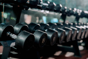 Gym Weights